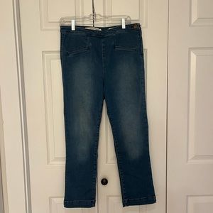 Anthropologie Pilcro and the Letterpress High Rise Denim Leggings/Jeans, Size 30